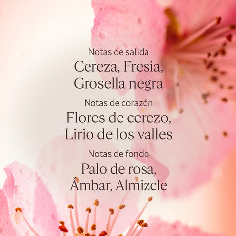 V4H206A9050C818A88AFFF833B27CE6839CR7407083P4