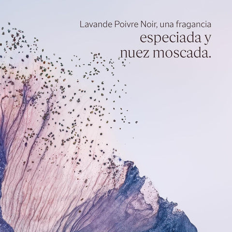 V4H5EB50324ED9E26C42F1B846D7E59E52FR7407113P3