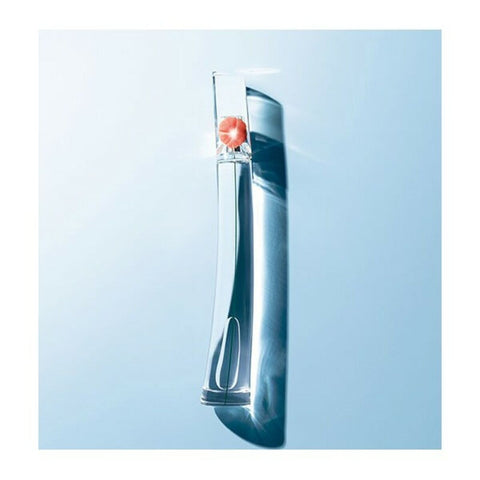 V11HD9212A972C4C9AF515FE096C937CE782R3969911P5