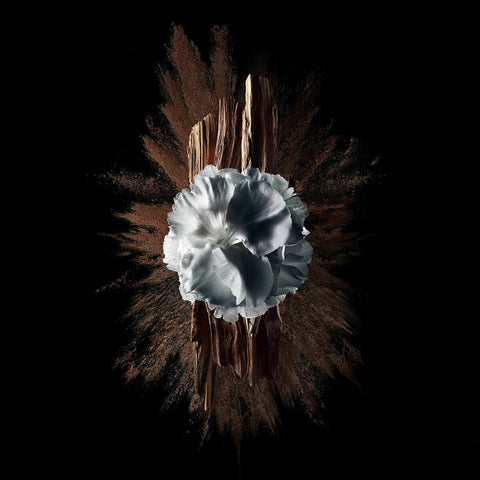 V6HD57BFFBA2AA917DD3D6BAA465CAA4794R5397790P5