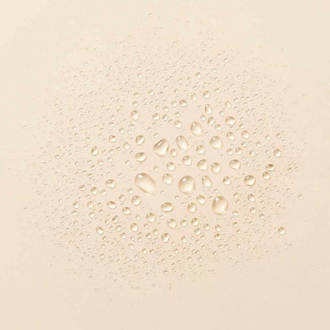 V5HB2F9526727CCA7C67889DCA5C48E9CF9R5625681P2