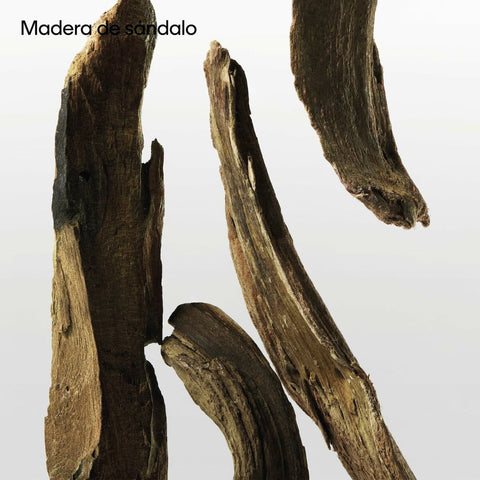 V5HA451631FE9227BB0A437E6188A776E68R5672457P9