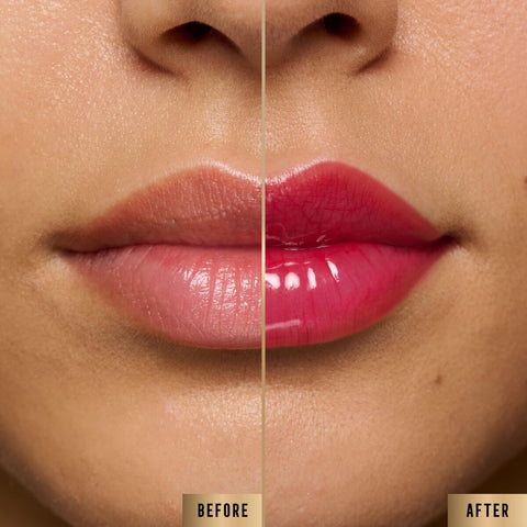 V4HAE1A45F1F6CEF97239F4A9BDA462A2F1R7424765P2