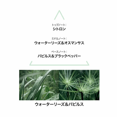 V4H75A089F122357ED96FBBD32DEAEA6905R6996324P3