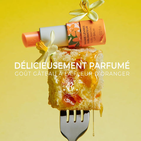 V4H01B099EE18ECD7043FDEB273880C1DA1R7356361P2