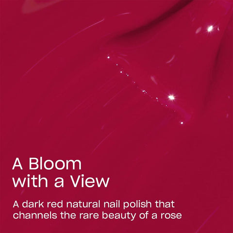 V5H909D97FC7E442D2C3DDE74D8A436F3B0R6241911P3