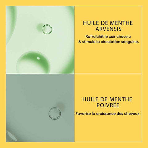 V4H3D05A0AC95CDF0CC80C20380DFE8E3CDR7509596P4