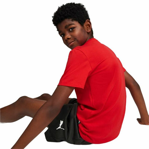 V6H3114472B55DC022DFC15BB194B19BE29R4660772P4