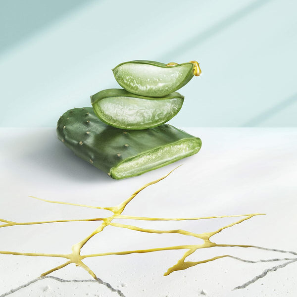 V8HEAAD25BC8D848DBFC018CCFBE84140E3R3757084P2