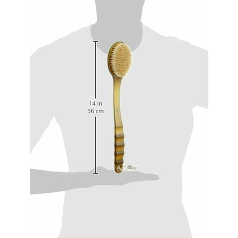 V14H3821F3C59C8670288F3F21A6B228636FR3623694P3