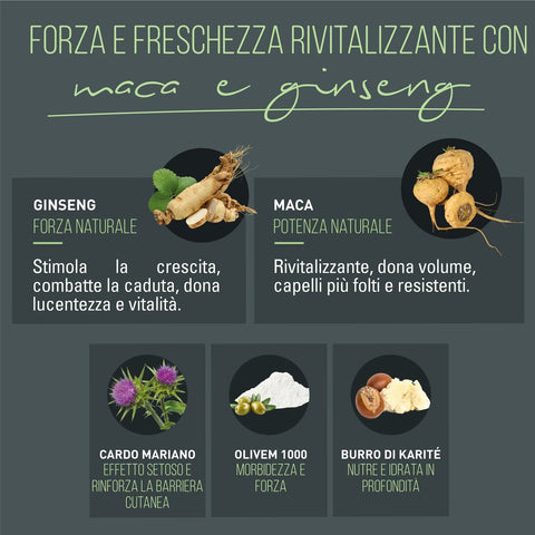 V5H64C11BF28FB883354054382DBD796A3AR6240244P3