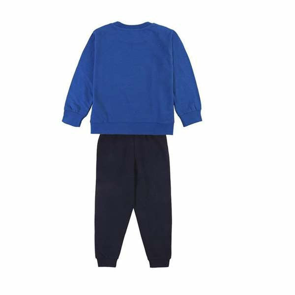 V5HB690845235D328B19F8F3936BBD3F0DAR5613979P2