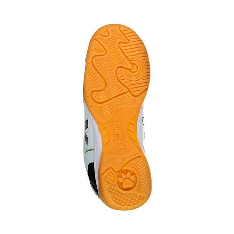 V2H0C80DE165C9E4DADE7928699340187BCR7623390P3