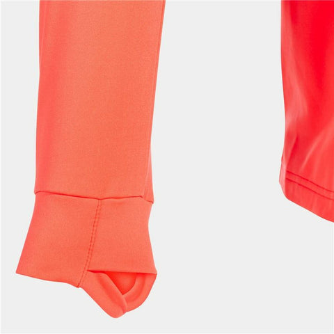 V6HF843519BCC1731D59259FCCF3637F0F1R5463814P6