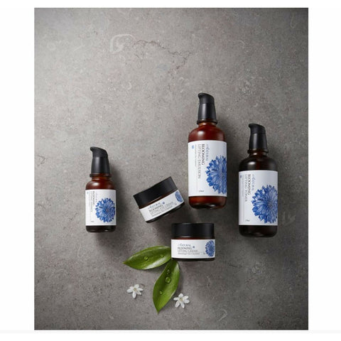 V13H5AA2E17B10EDCFE3D592C95345A7E157R3245028P3